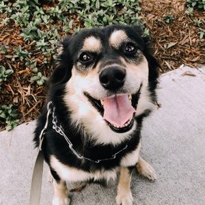 Meet your Posher, Vanessa